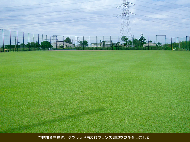 内野部分を除き、グラウンド内及びフェンス周辺を芝生化しました。